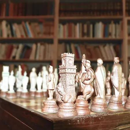 فيلة Chess Player's